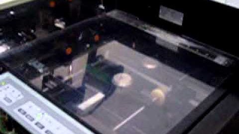 DUPLO DC10000S END STITCH TEST RUN DC48 by LCE Graphics