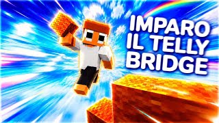 IMPARO IL TELLYBRIDGE SU MINECRAFT JAVA - ITA