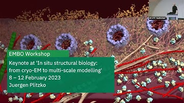 EMBL Keynote Lecture: The long and winding road to in situ structural biology with cryo-ET
