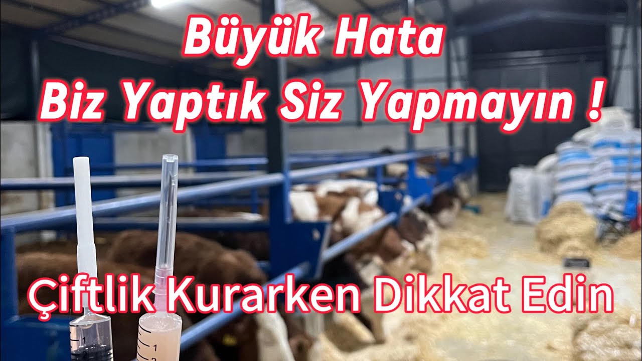 Uyarmışlardı Ama Dikkat Etmedik / Yemleme Rasyonu  
