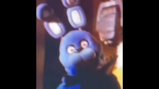 me dropping a wind up teddy bear in world record time