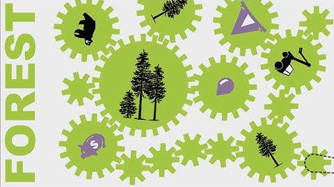 Forest Fact Break: Forest Management video