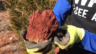 Rockhounding At An Abandoned Barite Mine