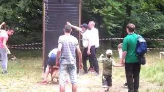 Pit Bull Show Serbia - Kosutnjak 15 Jun 2014