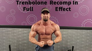 Trenbolone Cycle Update: Recomp In Full Effect