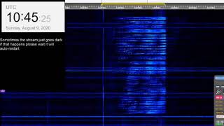 The Buzzer/UVB-76(4625Khz) August 9th 2020 10:45UTC Voice message