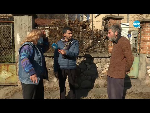 Video: Ali so jagode nandina strupene za pse?