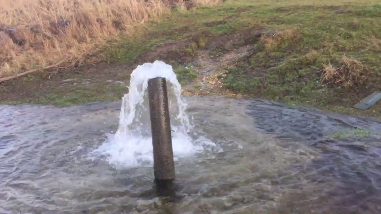 Подъем воды в клязьме ковров