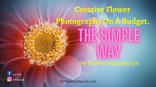 creative flower Photography On a Budget