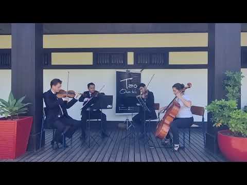 となりのトトロ - 久石譲 (弦楽四重奏) / My Neighbor Totoro - Joe Hisaishi (String Quartet)