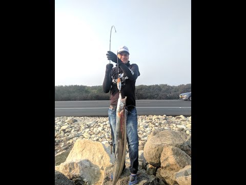 Video: Cómo Atrapar El Pez Sable