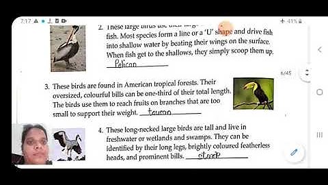 Class V General Knowledge 05-02-2021 by Ms Anchal Singh, Wonder birds