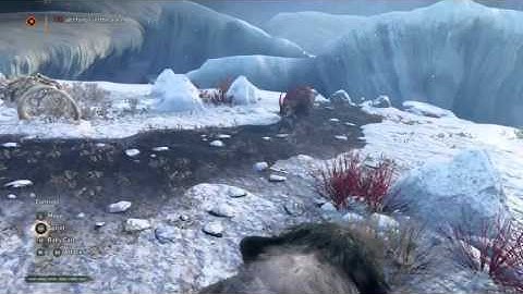 DSP Tries It: Self-Awareness, Finally