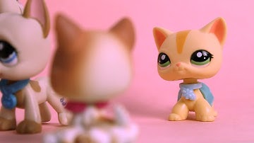 LPS MEP Part 3 for AddieLPS