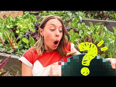MY SECRET TO SUCCESSFUL VEGETABLE GARDENING!