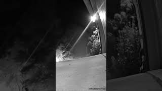 Famous Ghost caught on ring camera - Listen closely Net Worth