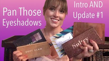 Pan Those Eyeshadows Intro/Update #1 | Project Pan