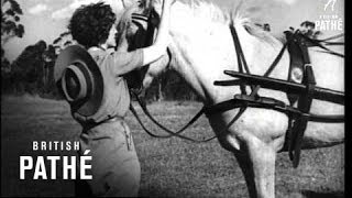 Whips Aka A Fair Crack 1940