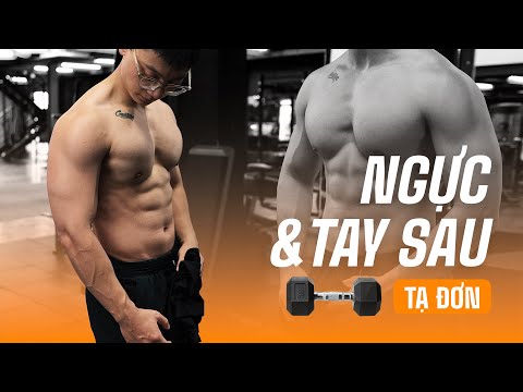 Video Bơm NGỰC & TAY SAU với tạ đơn | 1 Tuần Tạ Đơn | Chest... - youtube