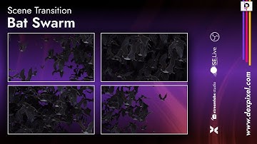 🦇 Bat Swarm Scary Stream Transition | Halloween Horror Stream Stinger for OBS & Twitch
