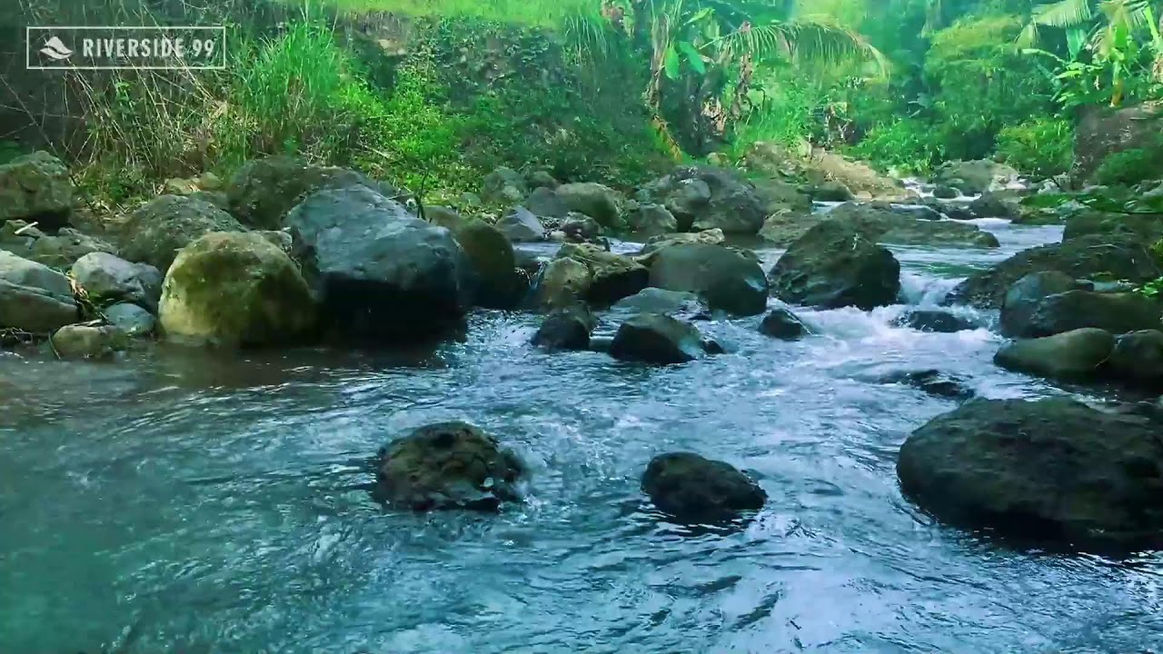 River Sounds for Sleeping 24/7 | Gentle Flowing Water White Noise for Deep Calm Nights
