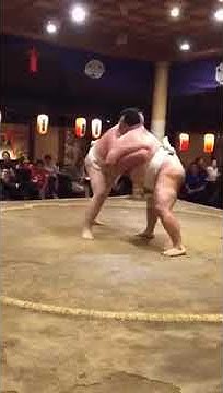 お相撲さんドットコムチャンネルsumo Youtube