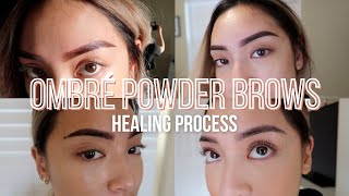 OMBRÉ POWDER BROWS HEALING PROCESS | Skincare Routine