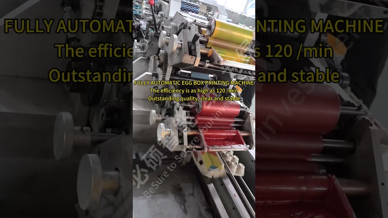 High-Speed Pulp Moulded Egg Carton Printing Machine | 120 per Minute