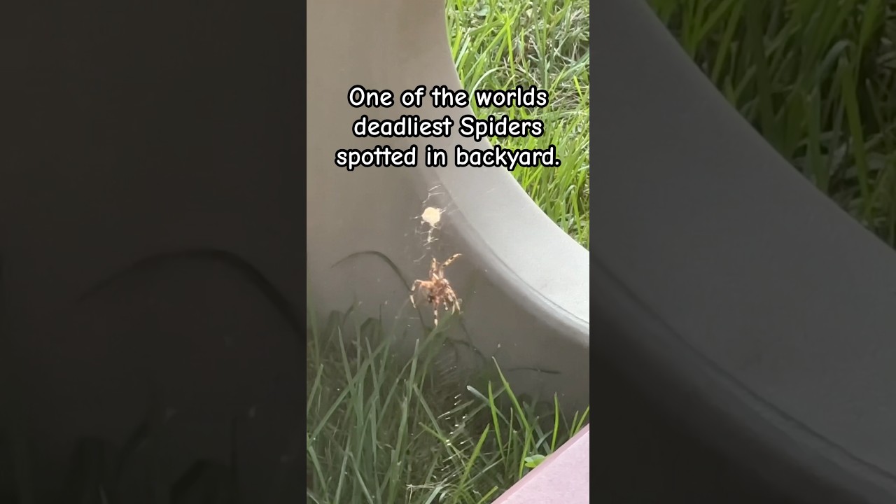 time to go on vacation😳👋🏾🏝️ 