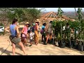 Convocan a jornada de reforestación en Puerto Escondido para sembrar más de 100 árboles