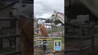 No son originales,pero igual me gusta ver cuánto costarían🤭 #cartaspokemon #pokemoncards #pokemon