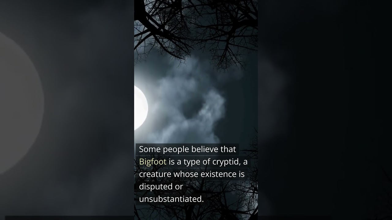 👀🌲🐻 Has Anyone Actually Seen Bigfoot?🤔🌲🌲