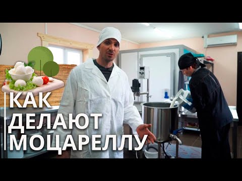 Как сделать моцареллу? Полный рецепт от молока до идеального домашнего сыра!