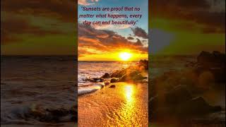 Citate de bună seara #motivație #scurtmetrajeyoutube #videoclipuriscurte