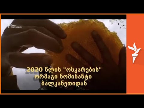 „თაფლის მხარე“ - ტკბილ-მწარე ბალკანური ამბავი - ოსკარების  ნომინანტი