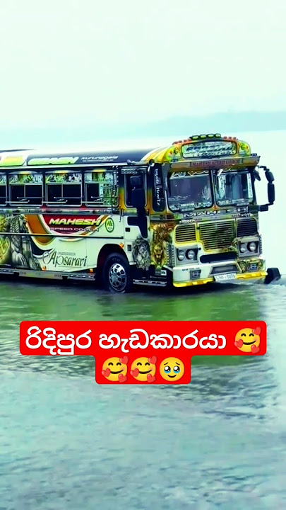 රිදිපුර හැඩකාරයා 🥰#sinhalasongs #trending #short #shorts #defende #djmix #automobile #defende #dj