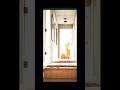 Hallways You’ve Seen in Your Dreams…