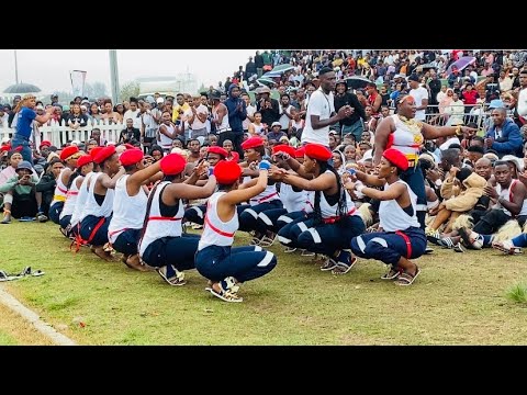 Nazi izontombi zishaya Ingoma emnandi | Ongoye 14/09/24