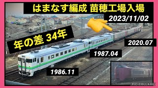 【はまなす編成+キハ40】苗穂工場へ入場するキハ261系はまなす編成3両を見てきた キハ40牽引 苗穂運転所→苗穂工場 2023/11/02