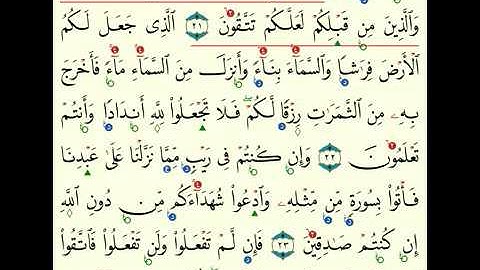 (2) سورة البقرة من 21 الى 29