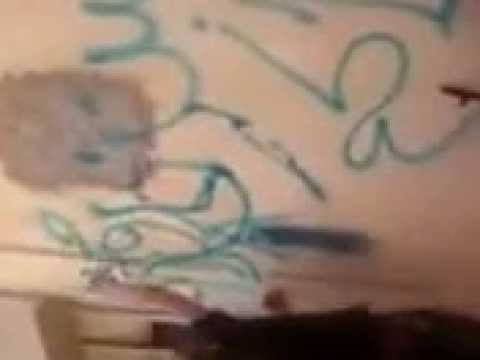 حقيقة الحرب على الجميل و رقدالين شهر 4 2012