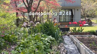 Spring rural Life in Korea vlog 248) My Garden