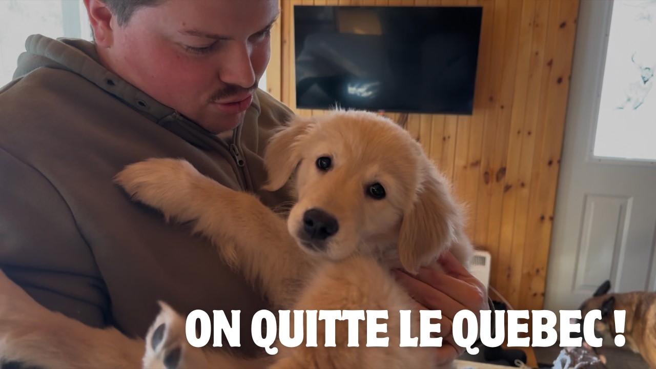 🇨🇦 ON QUITTE BIENTOT LE QUEBEC ⚜️ ! Pourquoi ?