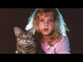 Видео . Фильмы о кошках ХХ века (топ 10) Movies about cats of the twentieth century (top 10)