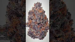 Celebrity These strains are INSANELY POTENT! Net Worth