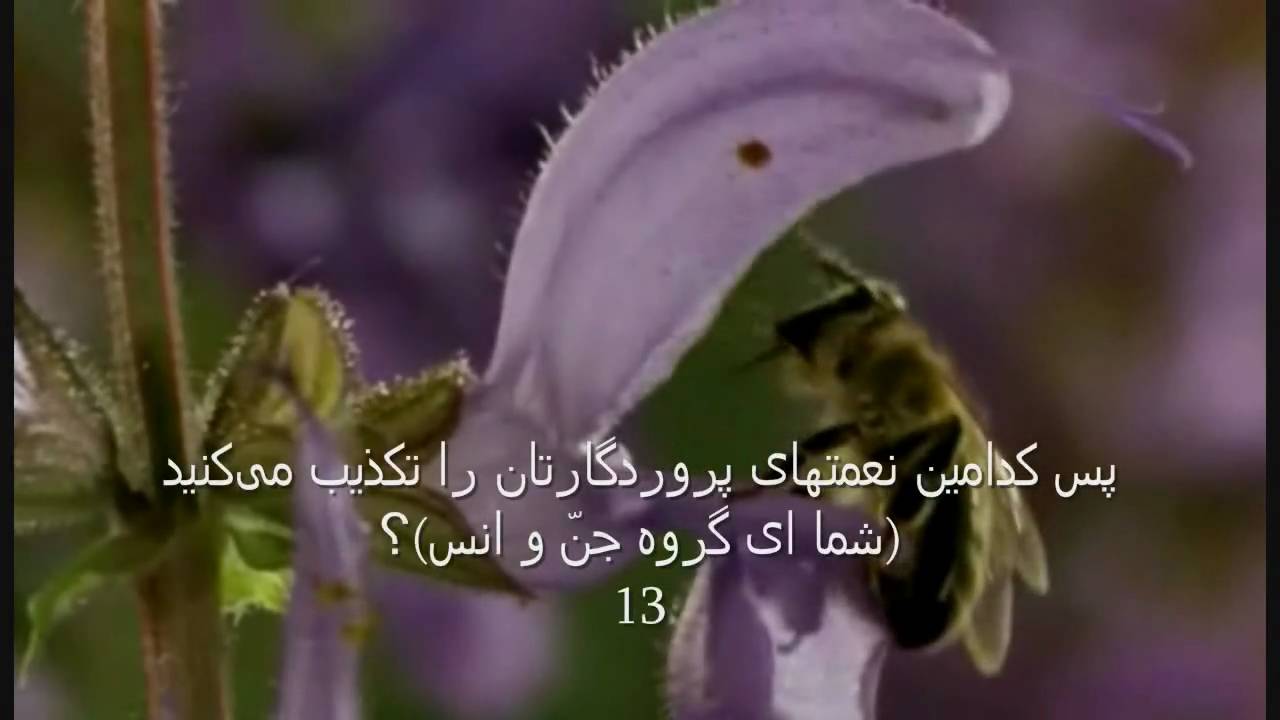 AMAZING AR RAHMAN with dari translation - YouTube