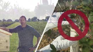Video 3: Using Rodenticide