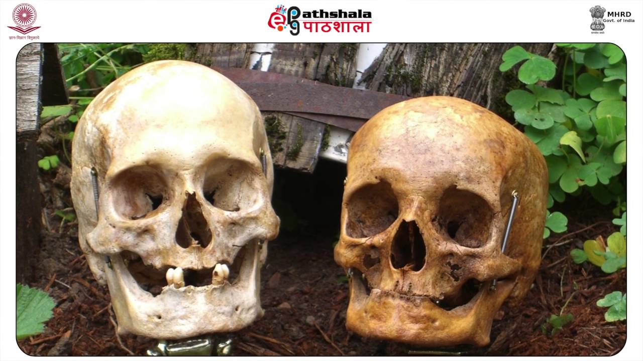 (Forensic Anthropology-Definition and scope) FSC