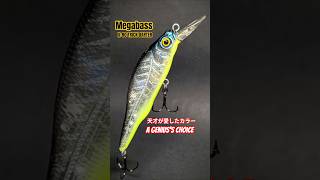 【バス釣り】天才が愛し、アメリカで覚醒したカラー ELEGY BONE