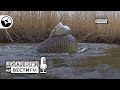 Дагестан рыболовный. От кутума до сазана | Диалоги нв Вести ФМ
